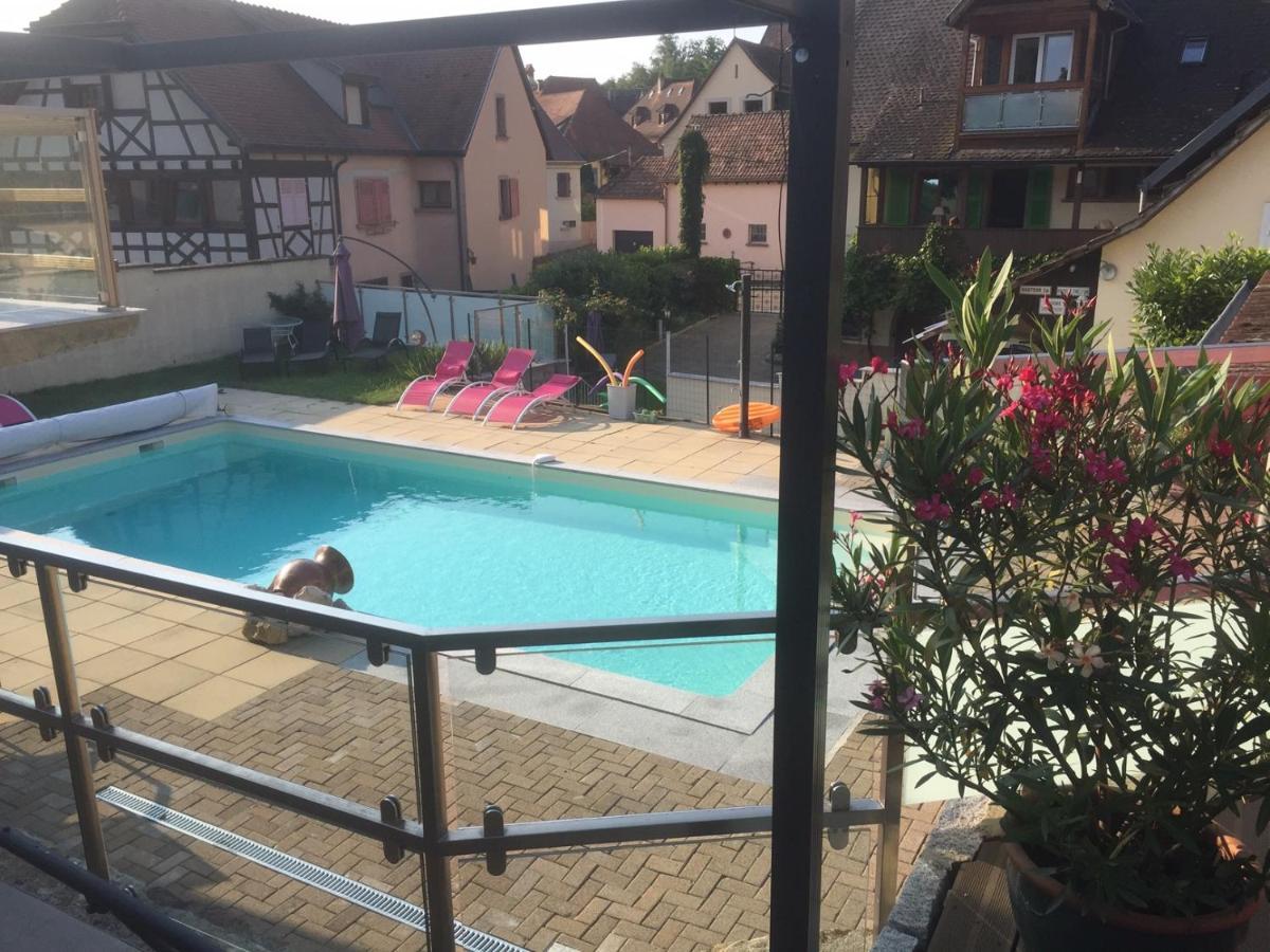Les Gites 2-4 Pers Remy Herold Katzenthal Exterior foto