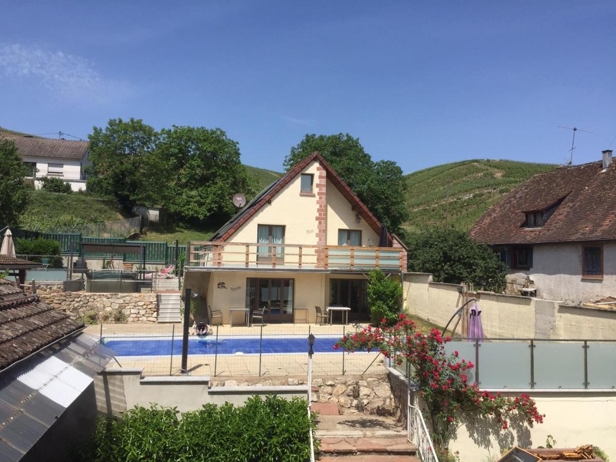 Les Gites 2-4 Pers Remy Herold Katzenthal Exterior foto
