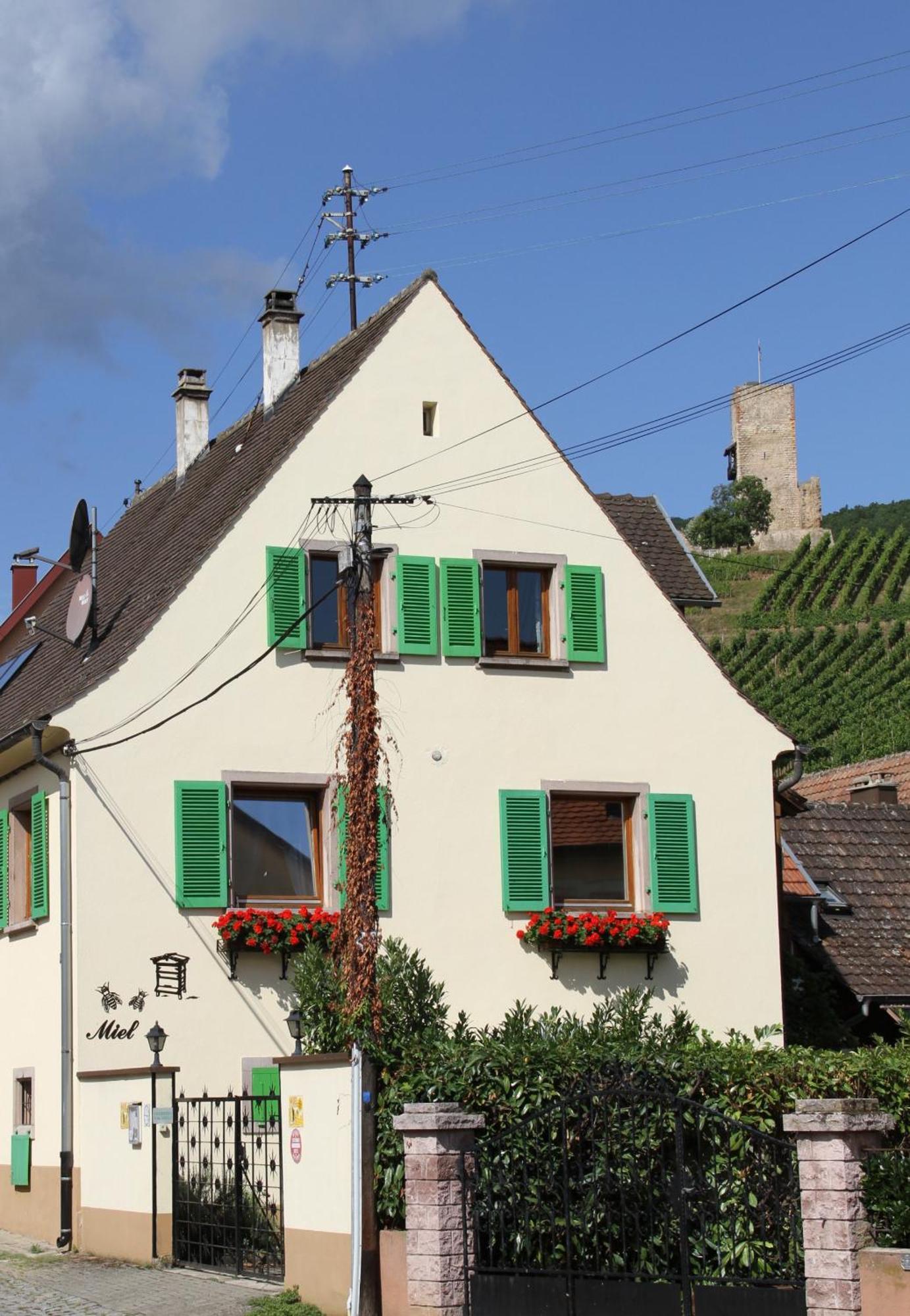 Les Gites 2-4 Pers Remy Herold Katzenthal Exterior foto