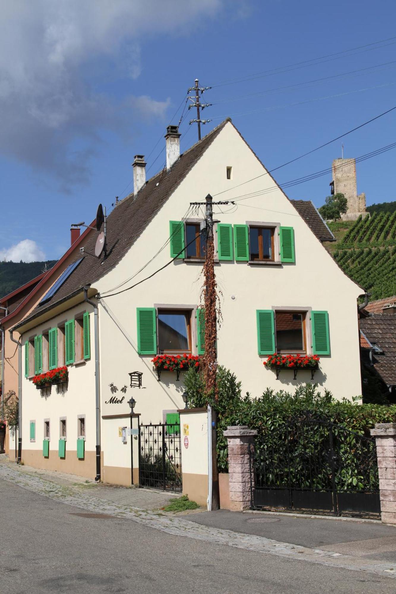 Les Gites 2-4 Pers Remy Herold Katzenthal Exterior foto